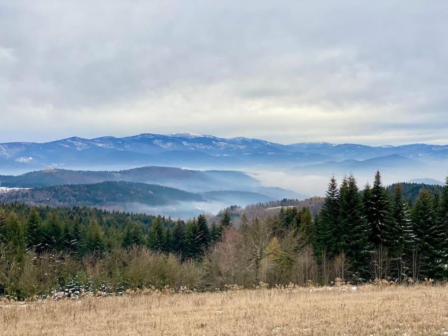 Villa Blizej Nieba Koskowa Gora Bogdanowka Exterior foto